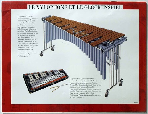 Xylophone le - le,