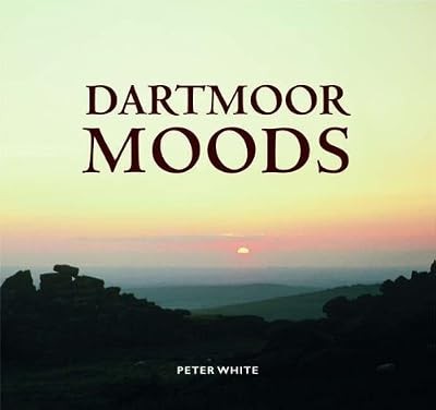 Dartmoor moods white - dartmoor, moods,