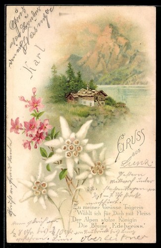 Carte postale edelweiss - carte,