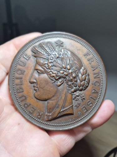 142 médaille oudiné - médaille,