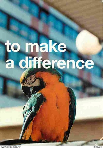Carte postale animaux - postale,