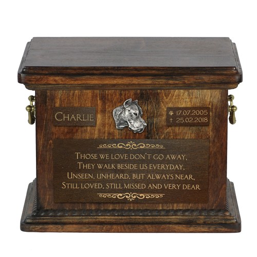 Dogue argentin urne - argentin,