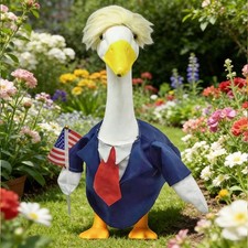 Tenues d'oie, déguisements