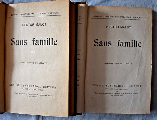 Sans famille hector malot - hector,