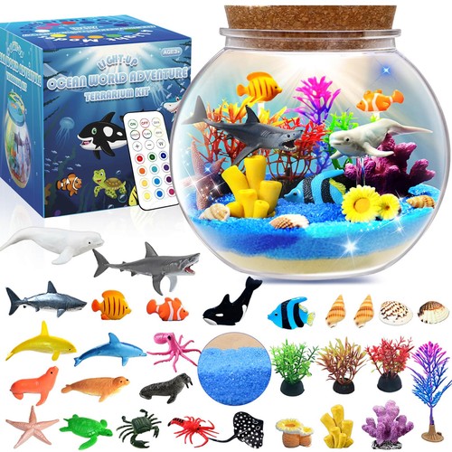 Ocean light terrarium kit - ocean,