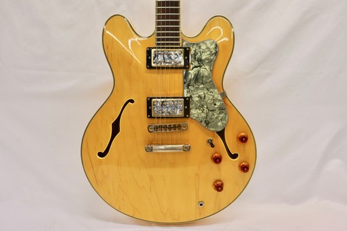 1994 epiphone sheraton - epiphone, ii