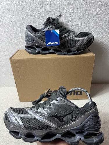 Mizuno wave prophecy - mizuno,