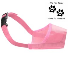 Lhassa Apso Chien Museau Rose