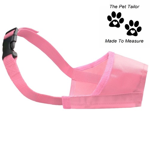 Lhassa apso chien museau rose - lhassa,