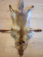 Peau de Renard naturelle(Fox