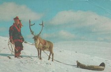 Bonne Année Noël CERF Vintage Carte Postale CPA #PKE043.F