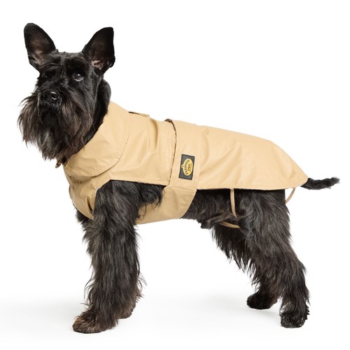 Fashion dog manteau pluie - fashion,