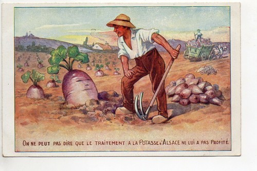 Thématique potasse - thématique, la