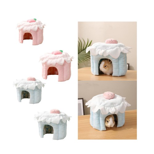 Maison hamster cachette de - maison, hamster,