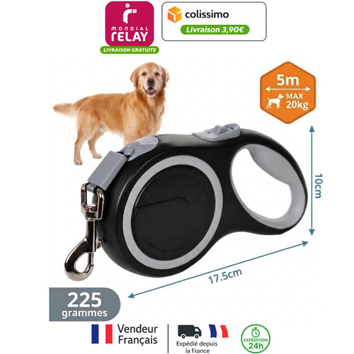 Laisse chien rétractable - chien,