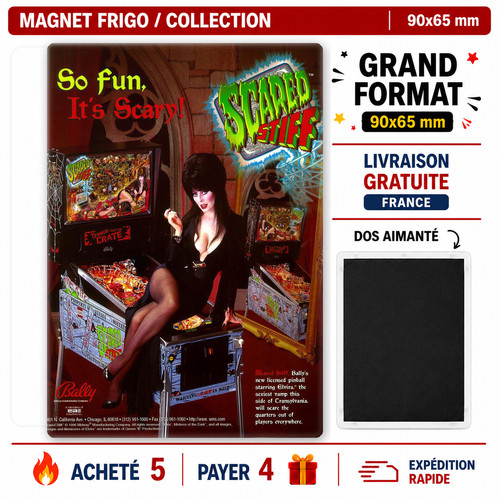 Magnet frigo flipper scared - magnet,