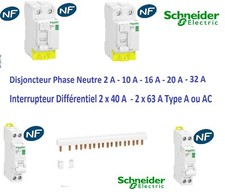 Disjoncteur 1P+N 2A-10A-16A-20A-32A Interrupteur dif A-AC 2x40A-2x63A Schneider