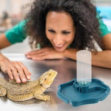  Reptile Pet Tortue Lézard Reptile Bac d'alimentation automatique du bassin