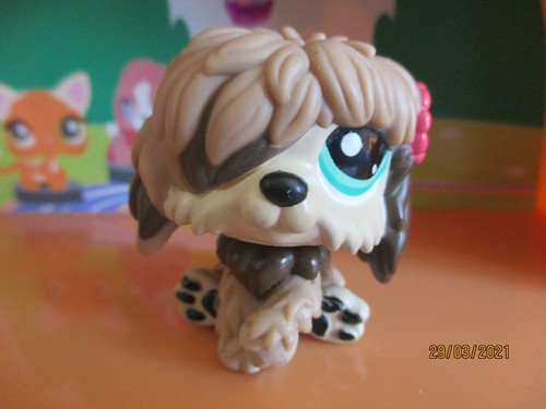 Petshop chien bobtail - petshop, #1816