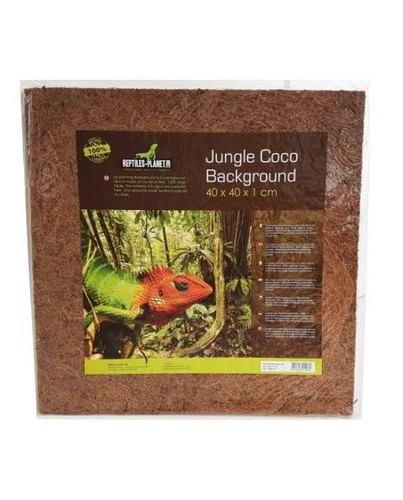Fond terrarium fibre coco - terrarium,