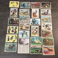 OISEAUX VOGELS  BIRDS de 1978 - Lot de 6 Images Stickers Panini au choix!