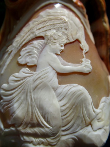 Cameo shell lampe camée - cameo,