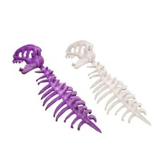 Costume de squelette de