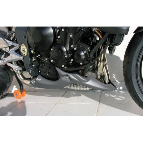 Sabot moteur ermax triumph 675 - moteur,
