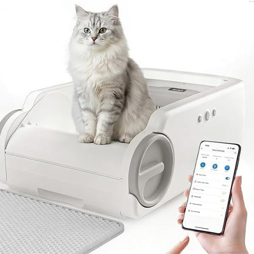 Litière pour chat - litière,