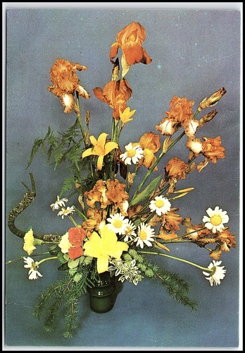 Carte postale 1984 - , bulgarie