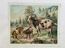 Ancien Grand Chromo Découpi -