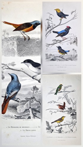 Gravures anciennes - ,