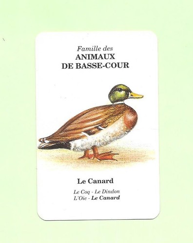 Carte elf antar animaux - elf/antar,