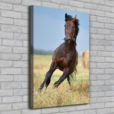 Tulup Tableau Sur Toile Image Imprimé 70x100 - Cheval sur le terrain