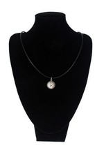 Chihuahua À Poil Long