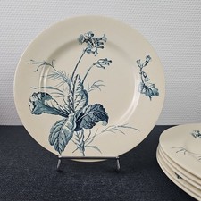 Assiettes Plates Décor