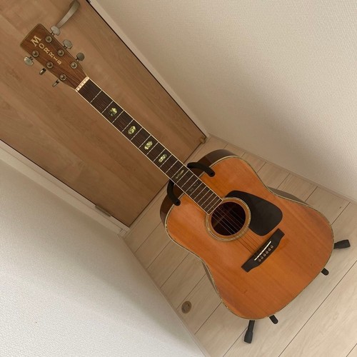 Guitare acoustique morris - guitare,