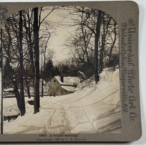 Winter morning scene - winter,
