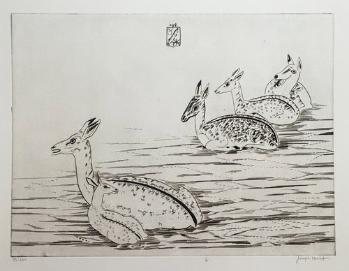 Jozef hecht cerfs indochinois - jozef,