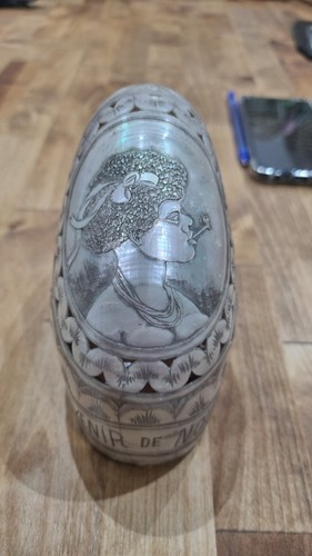 Coquillage nautile antique sea - nautile,