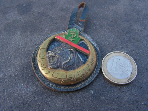 Insigne 2 eme tirailleur - ,