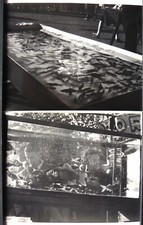 2 PHOTOS PRESSE Fernand FIANDO poissons en bassin et aquariumT292