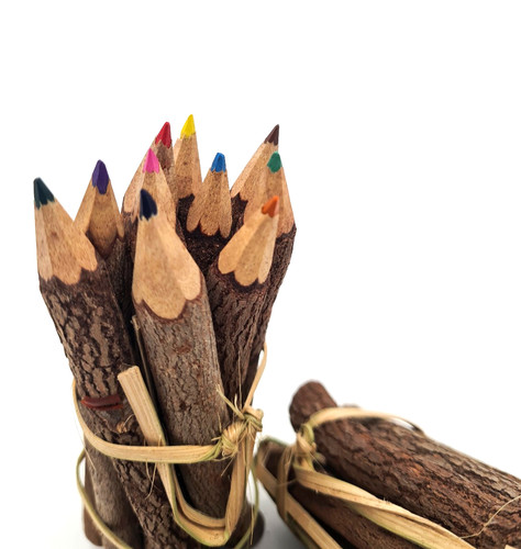 Crayons couleurs branche - couleurs,
