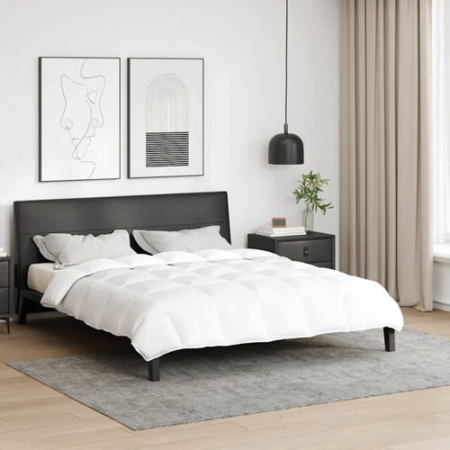 Couette blanc plume coton - blanc, en