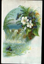 PARIS I° IMAGE Chromo SCHWAB Magasin de Nettoyage / FLEURS Blanches au DEVERSOIR