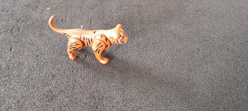 Animal bebe tigre savane - tigre,