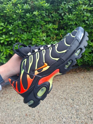Requin air max plus - tn,