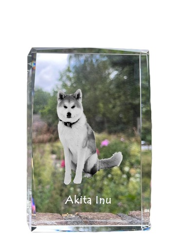 Akita inu pendentif - akita,