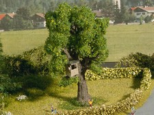 Noch 21766 - Arbre avec