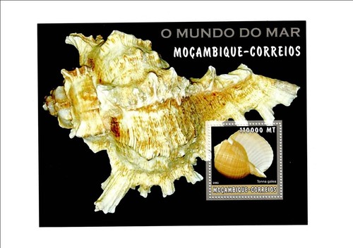 Coquillages timbre - coquillages,